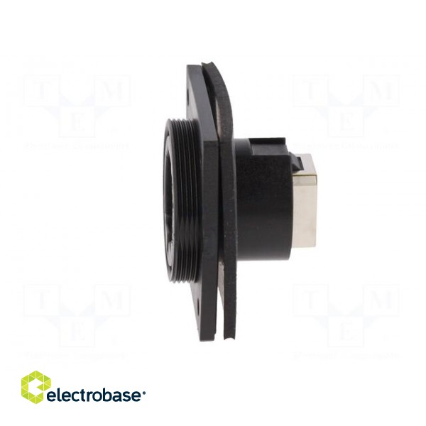 Coupler | Buccaneer Ethernet | PIN: 8 | Contacts: phosphor bronze paveikslėlis 4