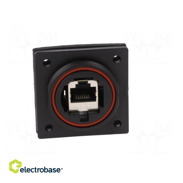 Coupler | Buccaneer Ethernet | PIN: 8 | Contacts: phosphor bronze фото 10