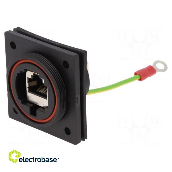 Coupler | Buccaneer Ethernet | PIN: 8 | Contacts: phosphor bronze фото 1