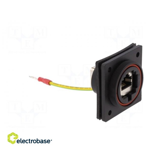 Coupler | Buccaneer Ethernet | PIN: 8 | Contacts: phosphor bronze image 9