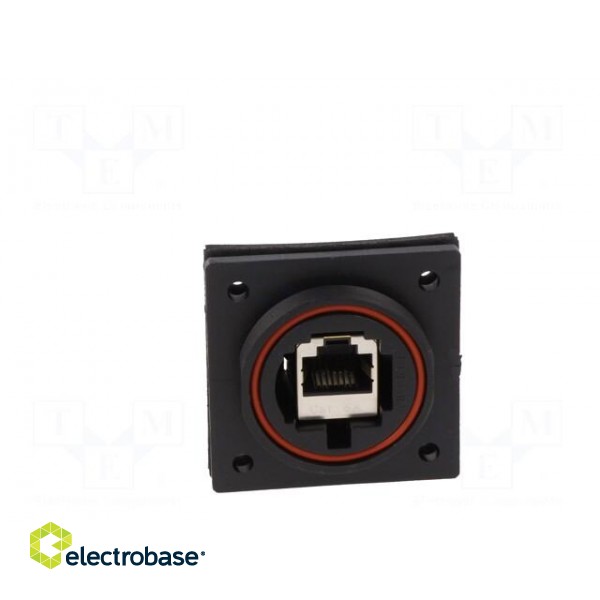 Coupler | Buccaneer Ethernet | PIN: 8 | Contacts: phosphor bronze image 10