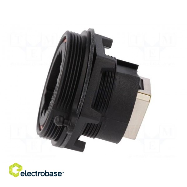 Coupler | Buccaneer Ethernet | PIN: 8 | Contacts: phosphor bronze image 3