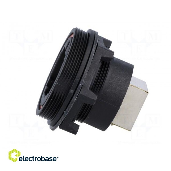 Coupler | Buccaneer Ethernet | PIN: 8 | Contacts: phosphor bronze paveikslėlis 3