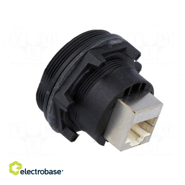 Coupler | Buccaneer Ethernet | PIN: 8 | Contacts: phosphor bronze фото 4