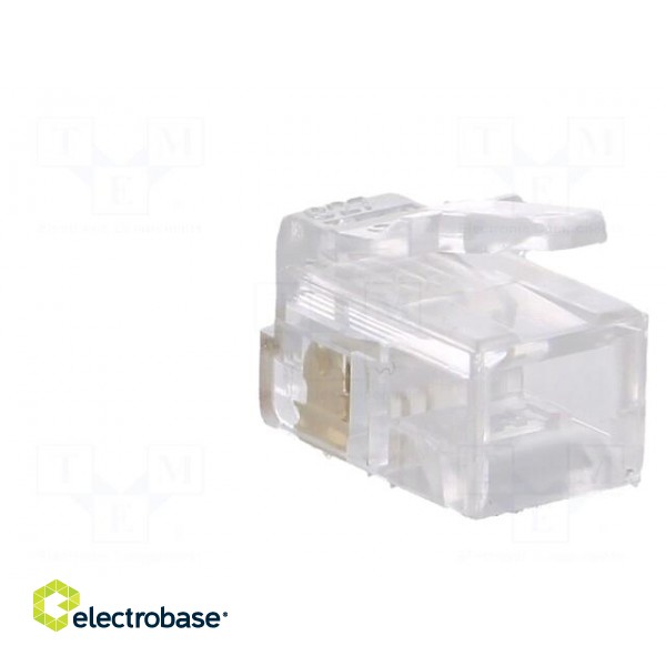 Plug | RJ10 | PIN: 4 | unshielded | gold-plated | Layout: 4p4c | 26AWG | IDC фото 4