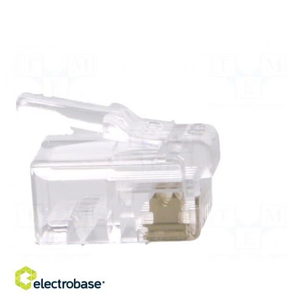 Plug | RJ10 | PIN: 4 | unshielded | gold-plated | Layout: 4p4c | 26AWG image 7