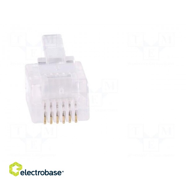 Plug | RJ12 | PIN: 6 | unshielded | gold-plated | Layout: 6p6c | crimped image 9