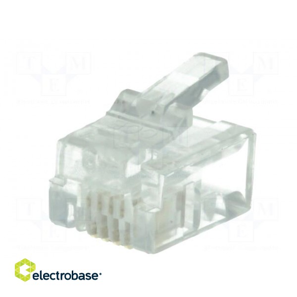 Plug | RJ11 | PIN: 4 | unshielded | gold-plated | Layout: 6p4c | 26AWG | IDC image 2
