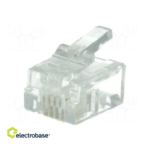 Plug | RJ11 | PIN: 4 | unshielded | gold-plated | Layout: 6p4c | 26AWG | IDC paveikslėlis 2