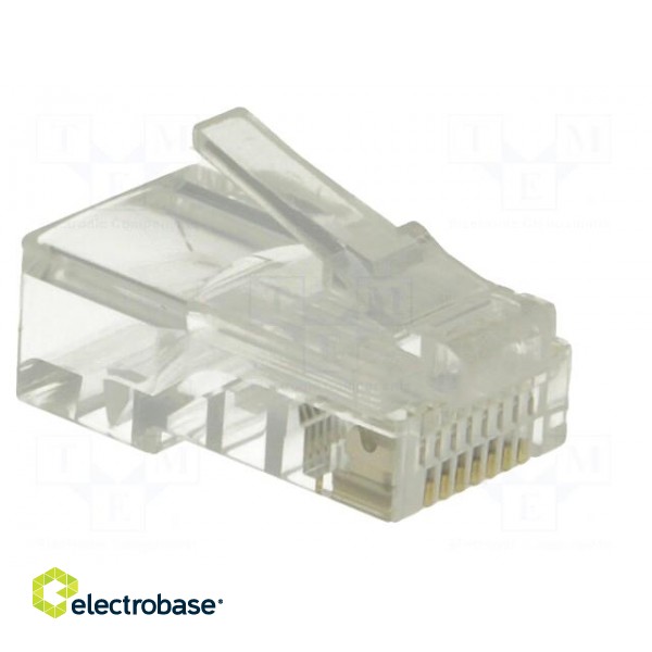 Plug | RJ45 | PIN: 8 | Cat: 5e | unshielded | Layout: 8p8c | for cable | male image 8