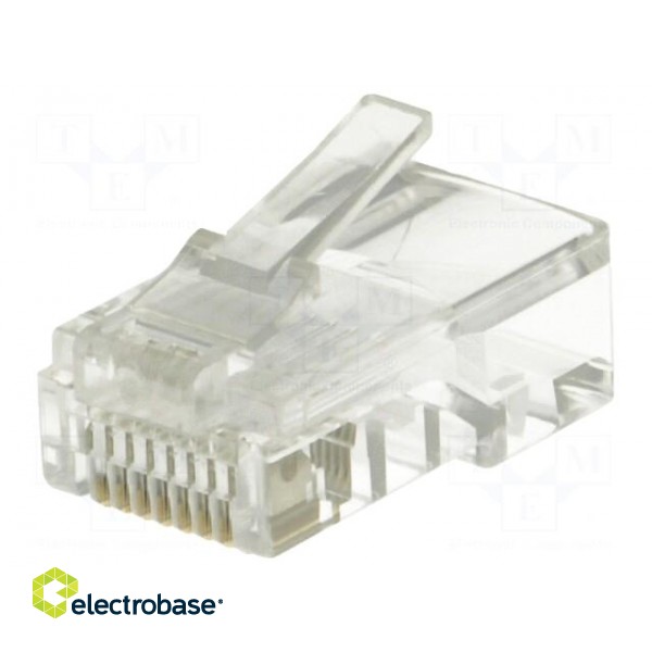 Plug | RJ45 | PIN: 8 | Cat: 5e | unshielded | Layout: 8p8c | for cable | male image 1