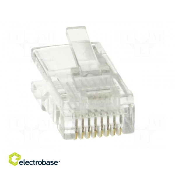 Plug | RJ45 | PIN: 8 | Cat: 5e | unshielded | Layout: 8p8c | for cable | male image 9