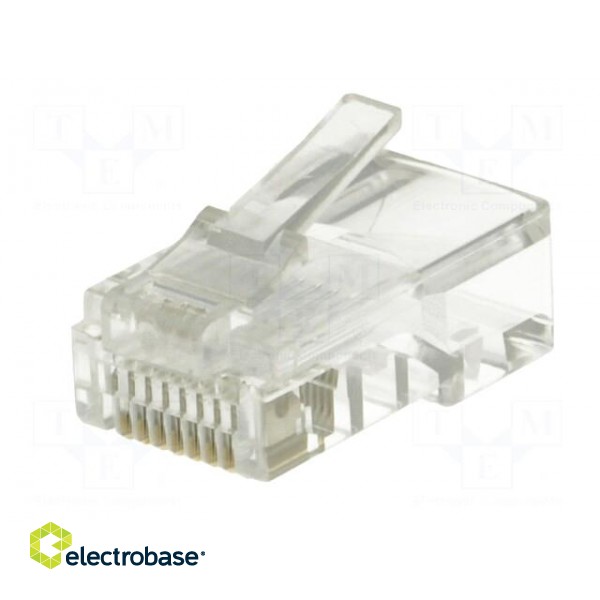 Plug | RJ45 | PIN: 8 | Cat: 5e | unshielded | Layout: 8p8c | for cable | male image 2