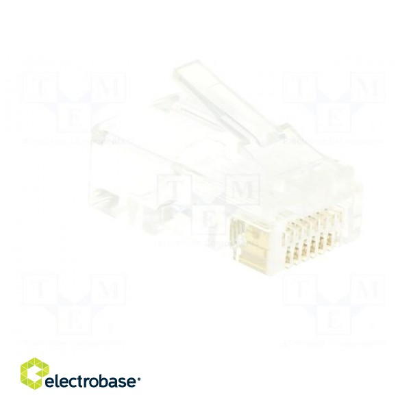Plug | RJ45 | PIN: 8 | Cat: 6 | unshielded,pass through | gold-plated image 8