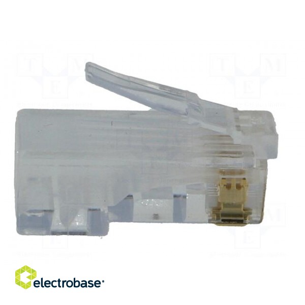 Plug | RJ45 | PIN: 8 | Cat: 6 | Layout: 8p8c | for cable | IDC,crimped image 7