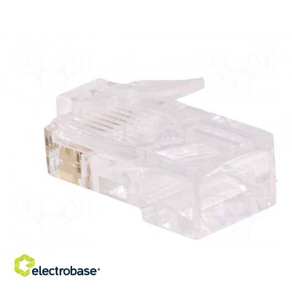 Plug | RJ45 | PIN: 8 | Contacts: phosphor bronze | gold-plated | UL94V-2 image 4