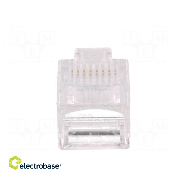 Plug | RJ45 | PIN: 8 | Contacts: phosphor bronze | gold-plated | UL94V-2 image 5