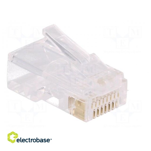 Plug | RJ45 | PIN: 8 | Contacts: phosphor bronze | gold-plated | UL94V-2 image 8