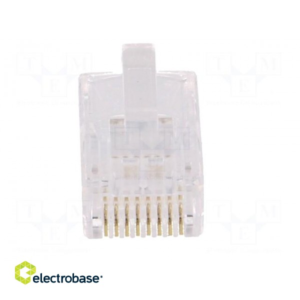 Plug | RJ45 | PIN: 8 | Contacts: phosphor bronze | gold-plated | UL94V-2 image 9