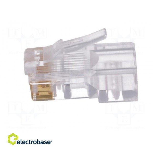 Plug | RJ45 | PIN: 8 | Layout: 8p8c | for cable | IDC,crimped image 3