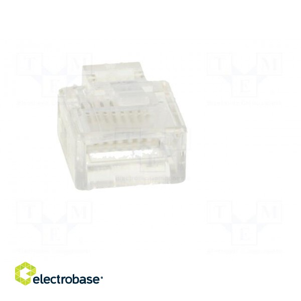 Plug | RJ45 | PIN: 8 | short | Layout: 8p8c | IDC,crimped | for cable image 5