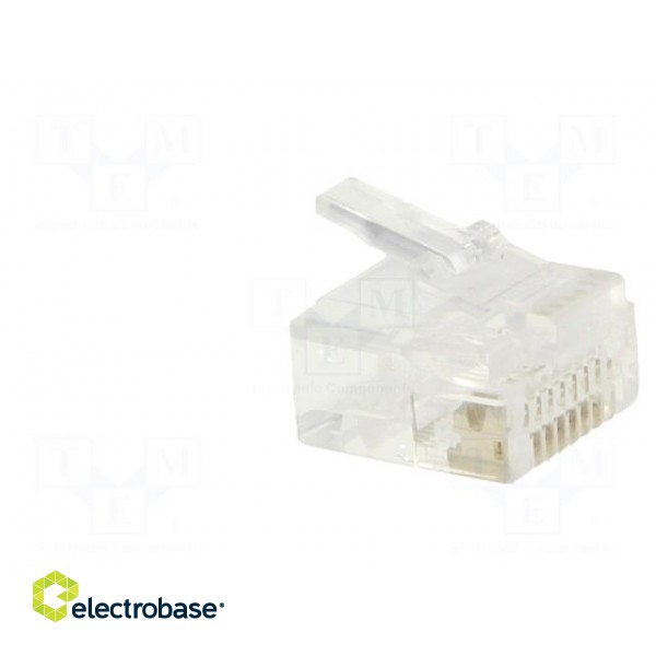 Plug | RJ45 | PIN: 8 | short | Layout: 8p8c | IDC,crimped | for cable image 8