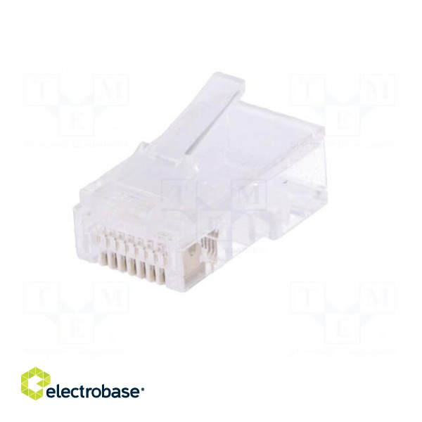 Plug | RJ45 | PIN: 8 | unshielded | gold-plated | Layout: 8p4c | crimped image 2