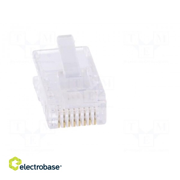 Plug | RJ45 | PIN: 8 | unshielded | gold-plated | Layout: 8p4c | crimped image 9
