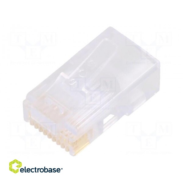 Plug | RJ50 | PIN: 10 | Layout: 10p10c | for cable | IDC | straight