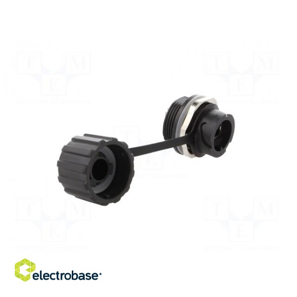 Socket | coupler | PIN: 8 | Cat: 5e | shielded,with protective cap image 8