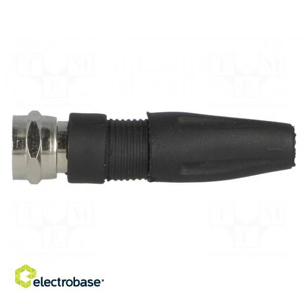 Plug | F | male | straight | 7mm | screw terminal | for cable image 3