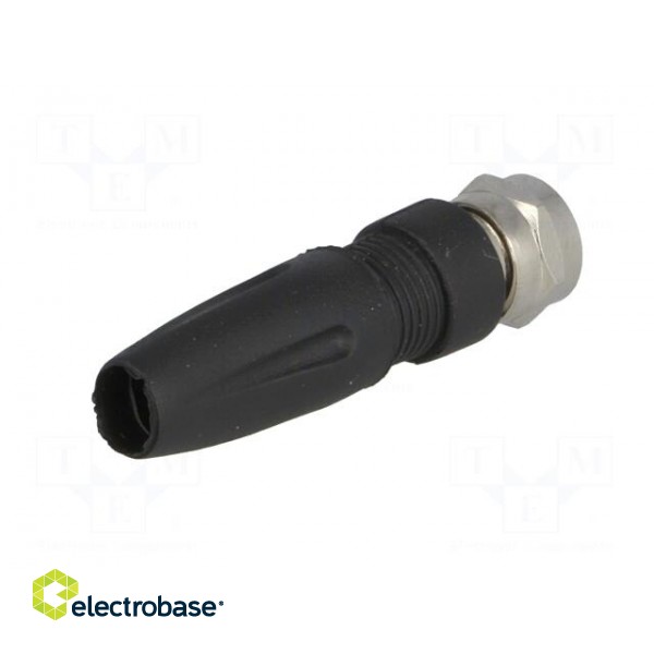 Plug | F | male | straight | 7mm | screw terminal | for cable image 6