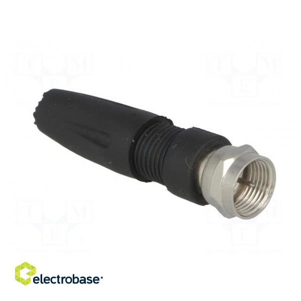 Plug | F | male | straight | 7mm | screw terminal | for cable image 8
