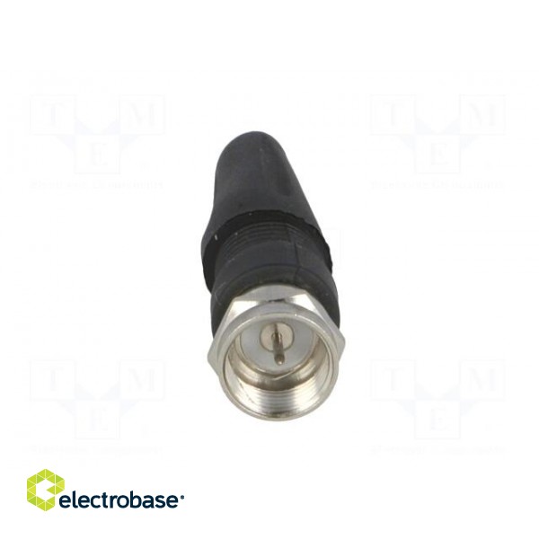 Plug | F | male | straight | 7mm | screw terminal | for cable image 9