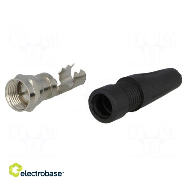 Plug | F | male | straight | 7mm | screw terminal | for cable image 1