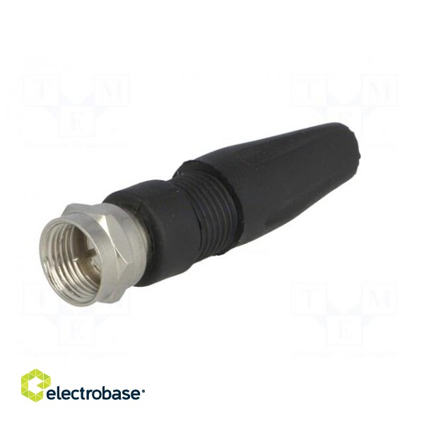 Plug | F | male | straight | 7mm | screw terminal | for cable image 2