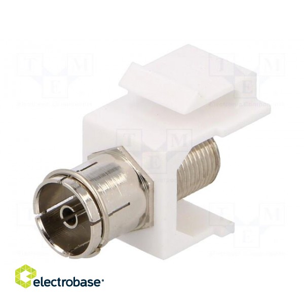 Adapter | socket | F socket,coaxial 9.5mm socket | female x2 | white paveikslėlis 1