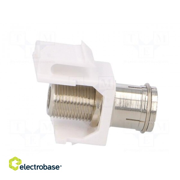 Adapter | socket | F socket,coaxial 9.5mm socket | female x2 | white paveikslėlis 7