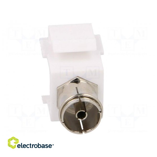 Adapter | socket | F socket,coaxial 9.5mm socket | female x2 | white paveikslėlis 9
