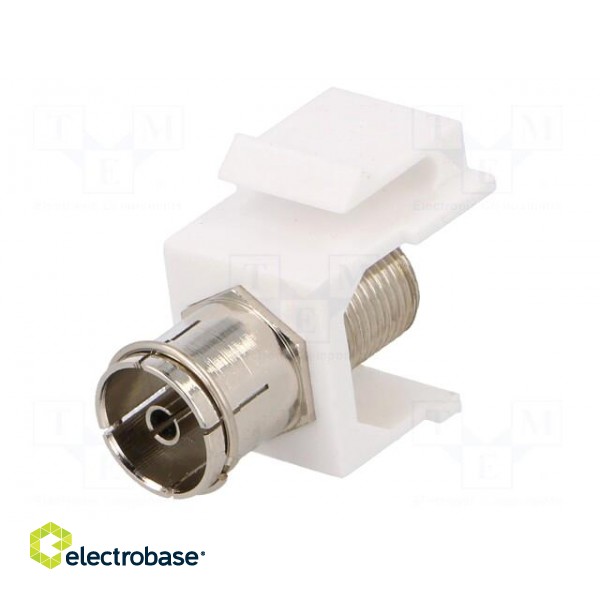 Adapter | socket | F socket,coaxial 9.5mm socket | female x2 | white paveikslėlis 2