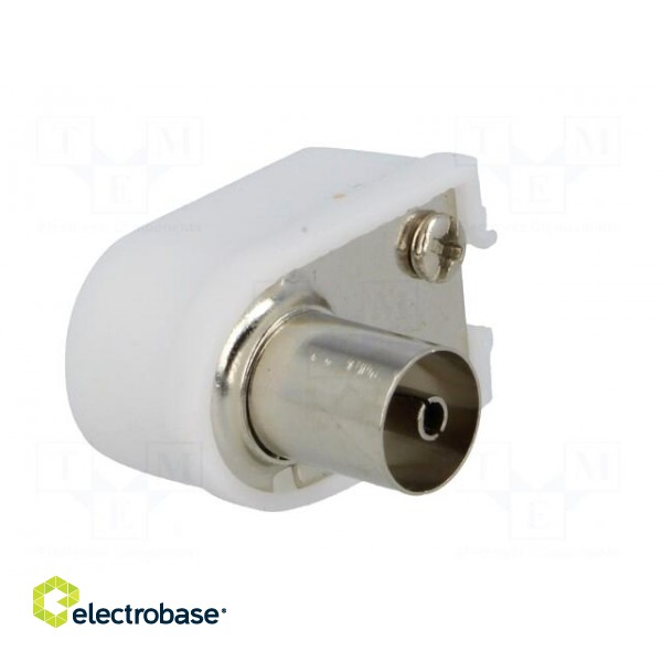 Plug | coaxial 9.5mm (IEC 169-2) | female | angled 90° | for cable image 8
