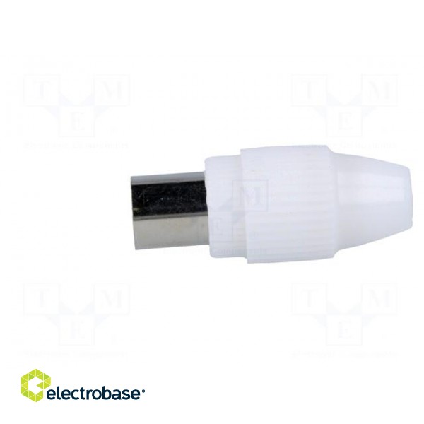 Plug | coaxial 9.5mm (IEC 169-2) | female | straight | for cable image 3