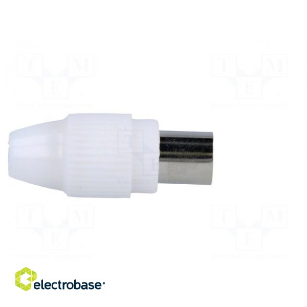 Plug | coaxial 9.5mm (IEC 169-2) | female | straight | for cable image 7