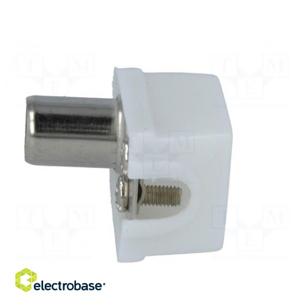 Plug | coaxial 9.5mm (IEC 169-2) | male | angled 90° | for cable image 3