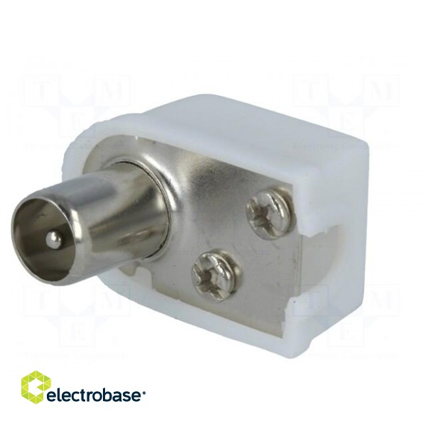 Plug | coaxial 9.5mm (IEC 169-2) | male | angled 90° | for cable image 2