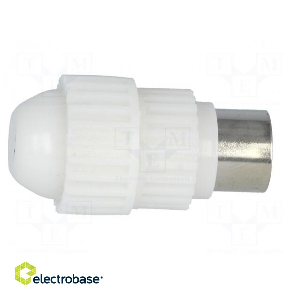 Plug | coaxial 9.5mm (IEC 169-2) | male | straight | for cable paveikslėlis 7