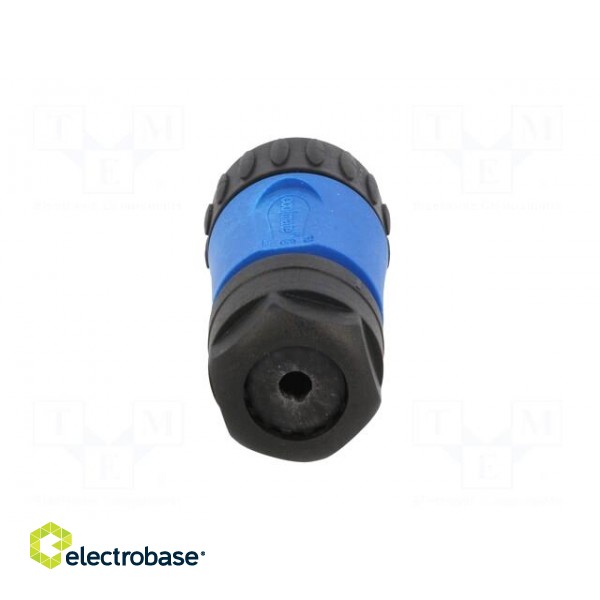 Connector: circular | plug | for cable | PIN: 7 | male | soldering | 250V image 5