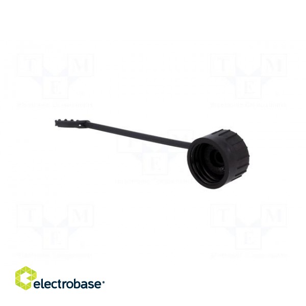 Protection cover | ECOMATE (C016) | Application: male connectors image 2