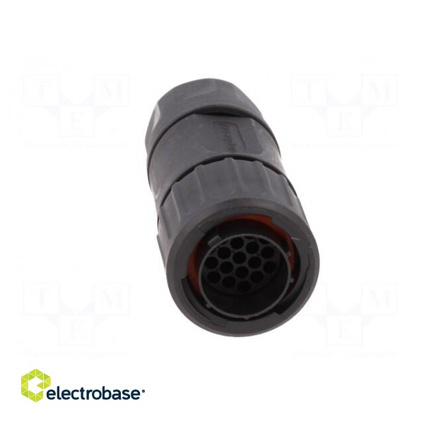 Connector: circular | plug | for cable | PIN: 19 | male | w/o contacts image 9