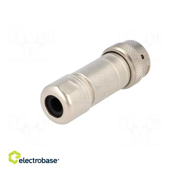 Connector: circular | Series: RT360 | plug | male | crimped | for cable image 6